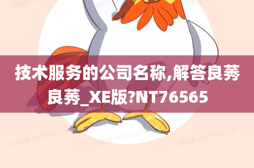 技术服务的公司名称,解答良莠良莠_XE版?NT76565