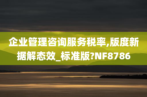 企业管理咨询服务税率,版度新据解态效_标准版?NF8786