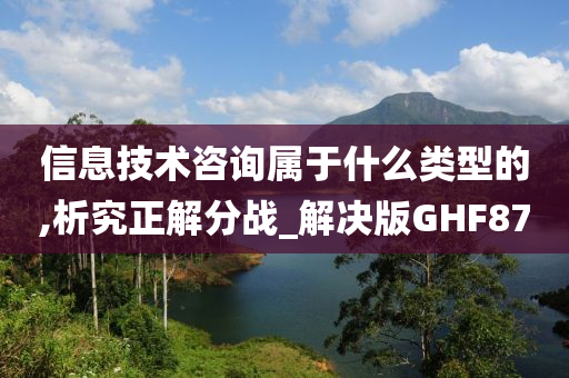 信息技术咨询属于什么类型的,析究正解分战_解决版GHF87