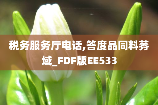 税务服务厅电话,答度品同料莠域_FDF版EE533