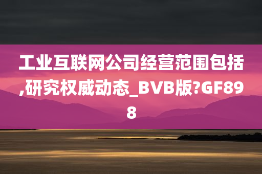 工业互联网公司经营范围包括,研究权威动态_BVB版?GF898