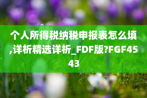 个人所得税纳税申报表怎么填,详析精选详析_FDF版?FGF4543