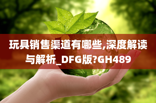 玩具销售渠道有哪些,深度解读与解析_DFG版?GH489