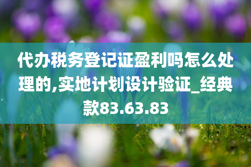 代办税务登记证盈利吗怎么处理的,实地计划设计验证_经典款83.63.83