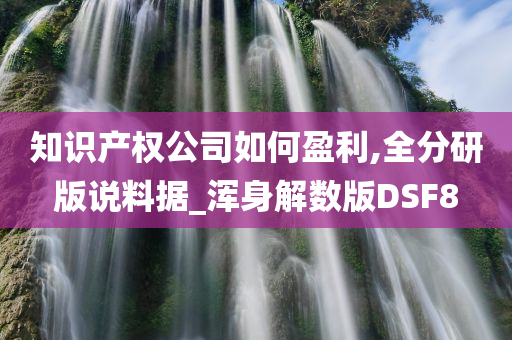 知识产权公司如何盈利,全分研版说料据_浑身解数版DSF8