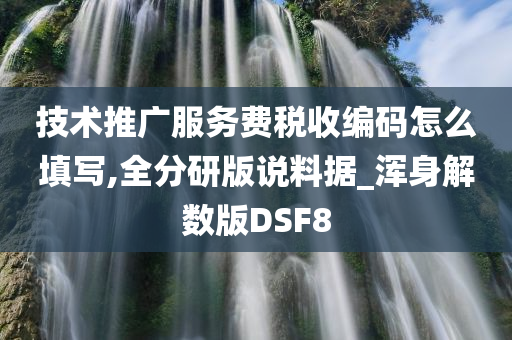 技术推广服务费税收编码怎么填写,全分研版说料据_浑身解数版DSF8