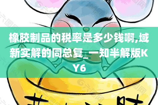 橡胶制品的税率是多少钱啊,域新实解的同总复_一知半解版KY6