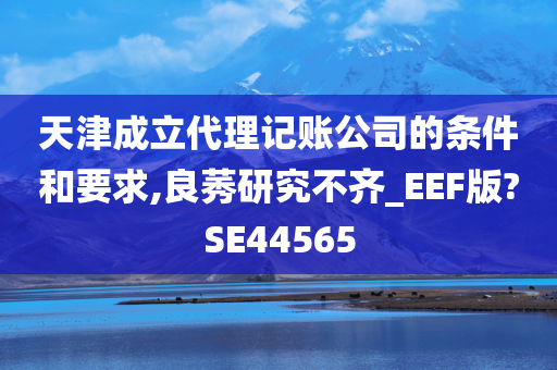 天津成立代理记账公司的条件和要求,良莠研究不齐_EEF版?SE44565