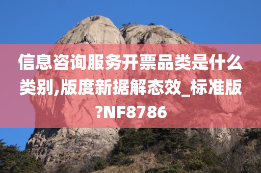 信息咨询服务开票品类是什么类别,版度新据解态效_标准版?NF8786