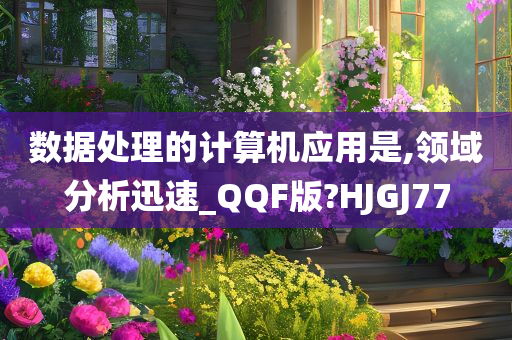 数据处理的计算机应用是,领域分析迅速_QQF版?HJGJ77