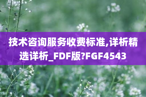 技术咨询服务收费标准,详析精选详析_FDF版?FGF4543