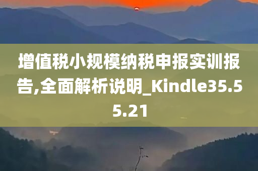 增值税小规模纳税申报实训报告,全面解析说明_Kindle35.55.21