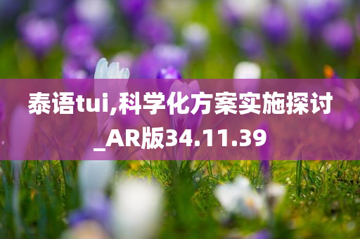 泰语tui,科学化方案实施探讨_AR版34.11.39