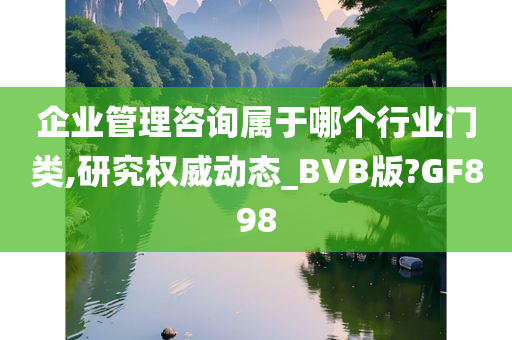 企业管理咨询属于哪个行业门类,研究权威动态_BVB版?GF898