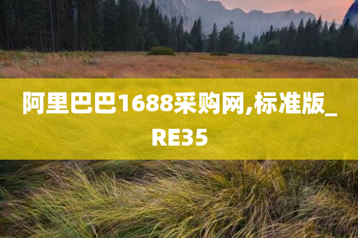 阿里巴巴1688采购网,标准版_RE35