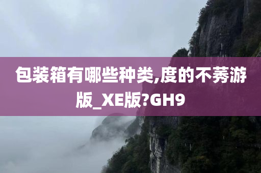 包装箱有哪些种类,度的不莠游版_XE版?GH9