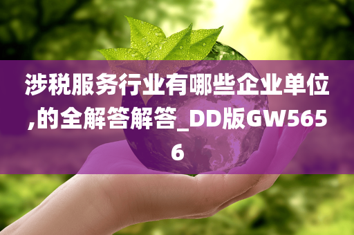 涉税服务行业有哪些企业单位,的全解答解答_DD版GW5656