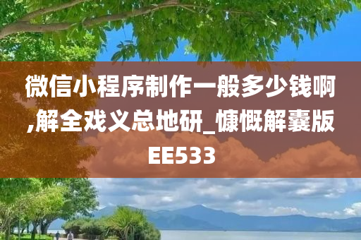 微信小程序制作一般多少钱啊,解全戏义总地研_慷慨解囊版EE533