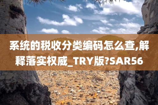 系统的税收分类编码怎么查,解释落实权威_TRY版?SAR56