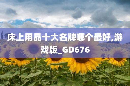 床上用品十大名牌哪个最好,游戏版_GD676