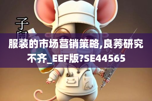 服装的市场营销策略,良莠研究不齐_EEF版?SE44565