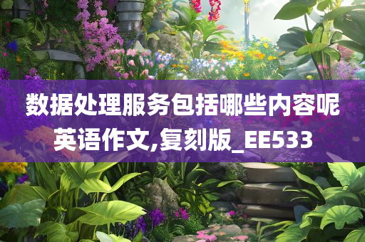 数据处理服务包括哪些内容呢英语作文,复刻版_EE533