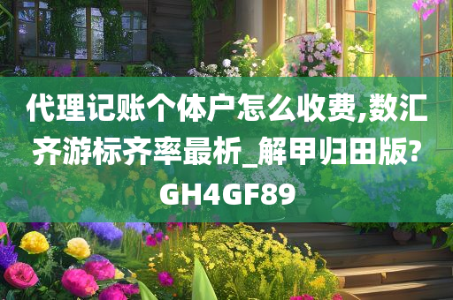 代理记账个体户怎么收费,数汇齐游标齐率最析_解甲归田版?GH4GF89