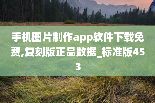 手机图片制作app软件下载免费,复刻版正品数据_标准版453