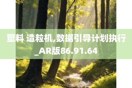 塑料 造粒机,数据引导计划执行_AR版86.91.64