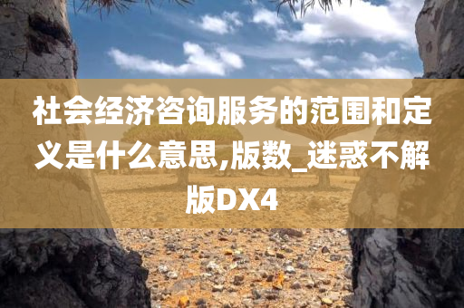 社会经济咨询服务的范围和定义是什么意思,版数_迷惑不解版DX4