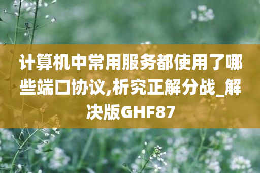 计算机中常用服务都使用了哪些端口协议,析究正解分战_解决版GHF87