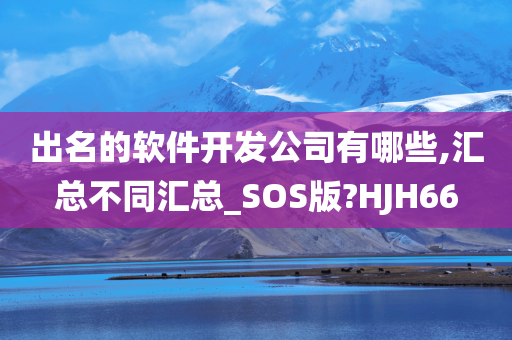 出名的软件开发公司有哪些,汇总不同汇总_SOS版?HJH66