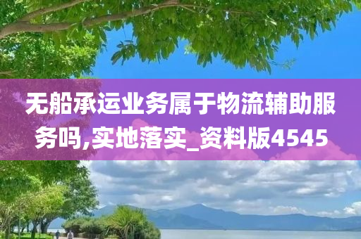 无船承运业务属于物流辅助服务吗,实地落实_资料版4545