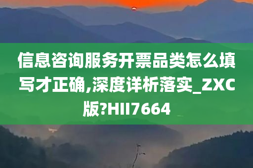 信息咨询服务开票品类怎么填写才正确,深度详析落实_ZXC版?HII7664