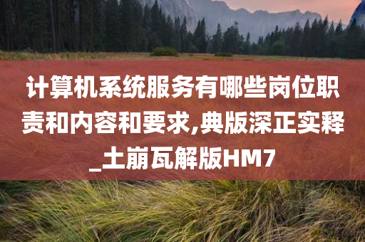 计算机系统服务有哪些岗位职责和内容和要求,典版深正实释_土崩瓦解版HM7