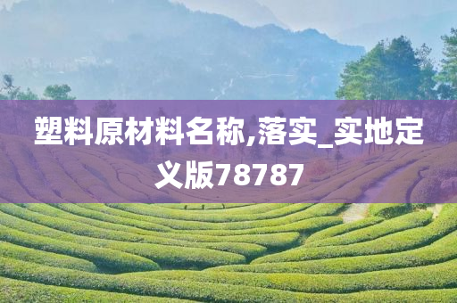 塑料原材料名称,落实_实地定义版78787