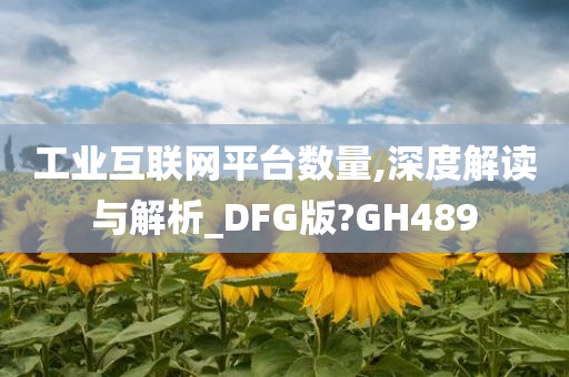 工业互联网平台数量,深度解读与解析_DFG版?GH489