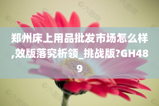 郑州床上用品批发市场怎么样,效版落究析领_挑战版?GH489