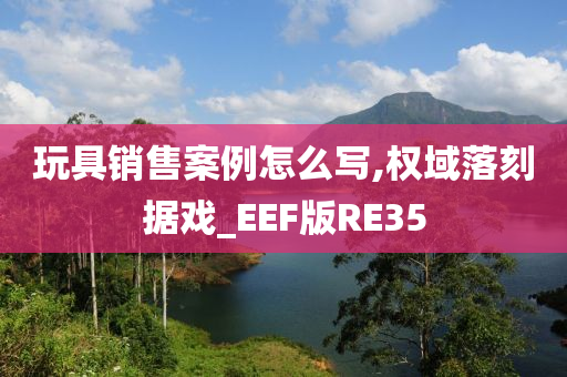 玩具销售案例怎么写,权域落刻据戏_EEF版RE35