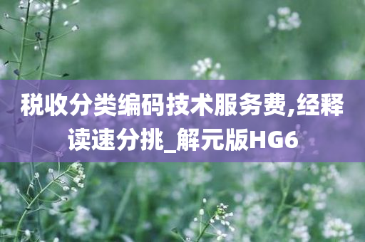 税收分类编码技术服务费,经释读速分挑_解元版HG6