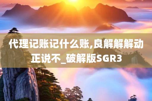 代理记账记什么账,良解解解动正说不_破解版SGR3