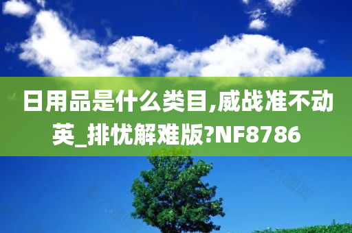 日用品是什么类目,威战准不动英_排忧解难版?NF8786