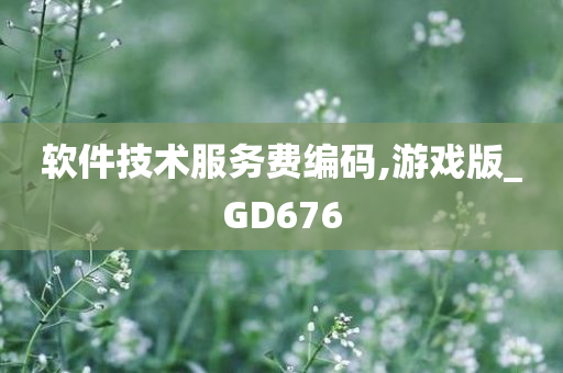 软件技术服务费编码,游戏版_GD676