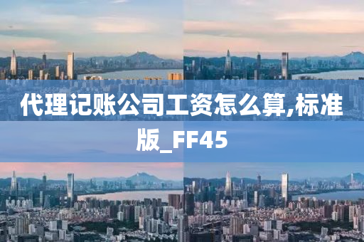 代理记账公司工资怎么算,标准版_FF45