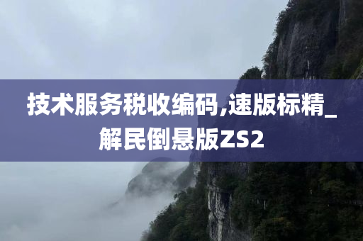 技术服务税收编码,速版标精_解民倒悬版ZS2