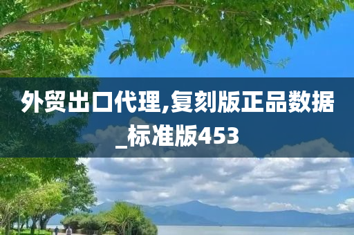 外贸出口代理,复刻版正品数据_标准版453