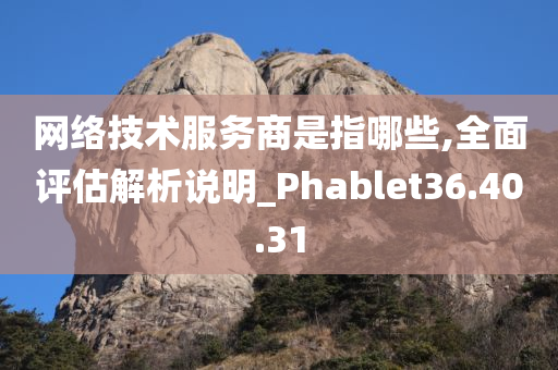 网络技术服务商是指哪些,全面评估解析说明_Phablet36.40.31