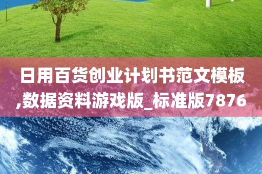 日用百货创业计划书范文模板,数据资料游戏版_标准版7876