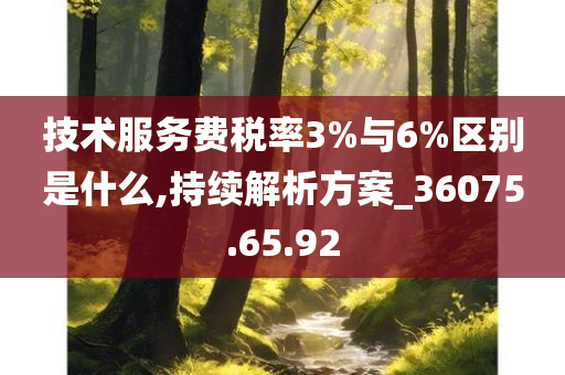 技术服务费税率3%与6%区别是什么,持续解析方案_36075.65.92