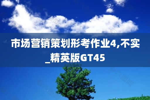 市场营销策划形考作业4,不实_精英版GT45